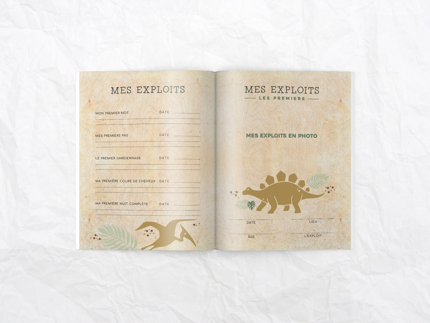 Livre de naissance Monde des dinos