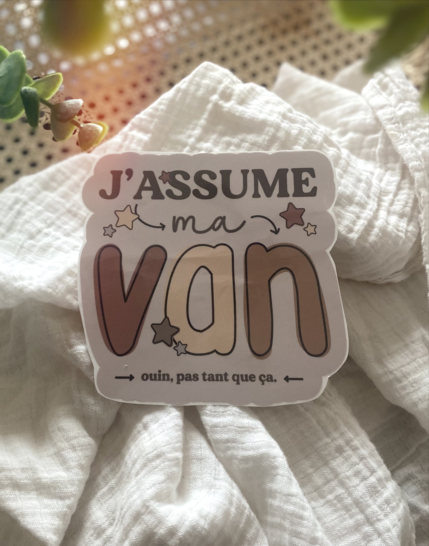 Autocollant voiture « J'assume ma van »