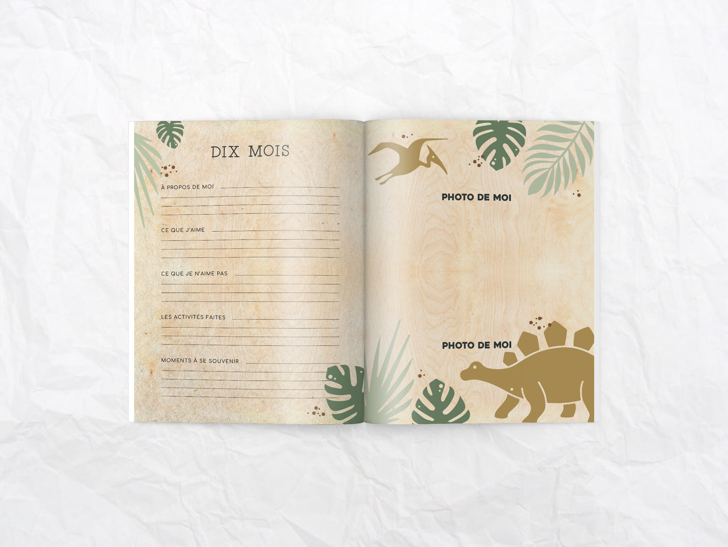 Livre de naissance Monde des dinos