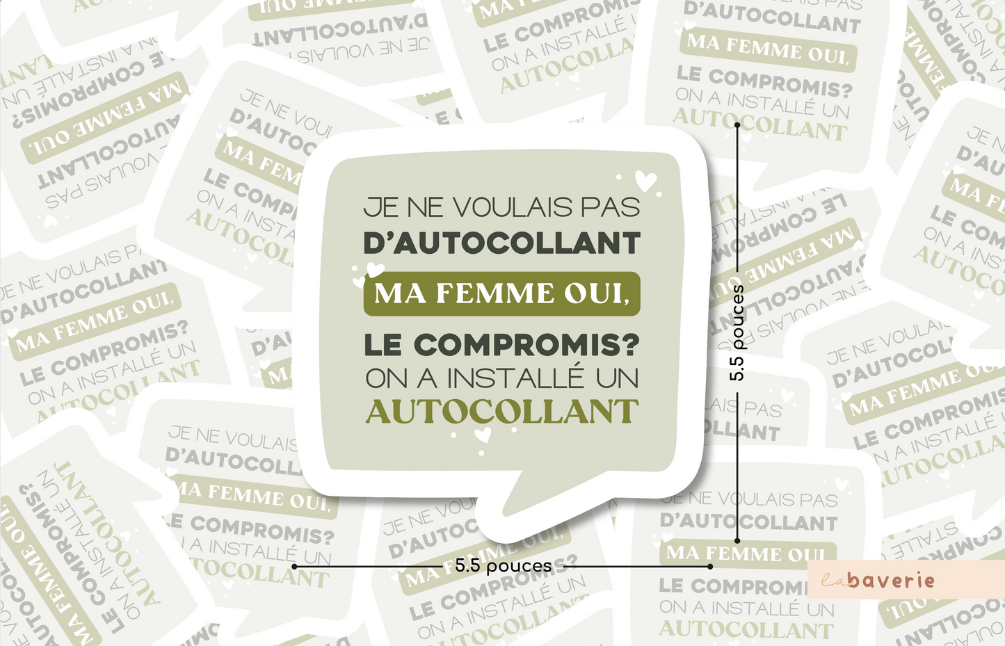 Autocollant voiture « Je ne voulais pas d'autocollant »