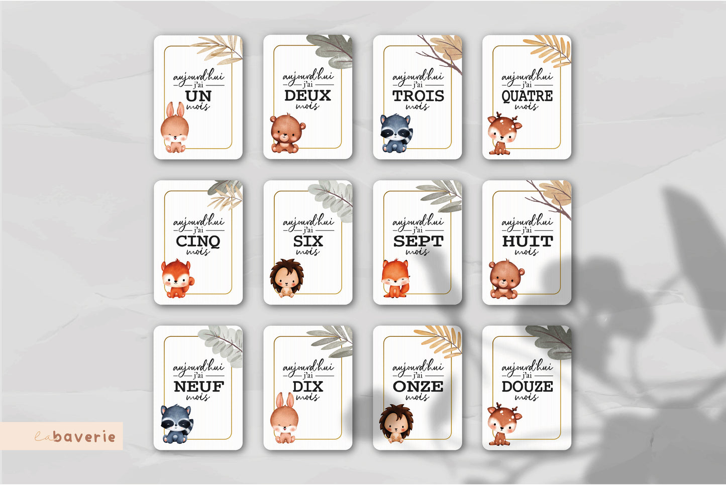 Carton de naissance Colin