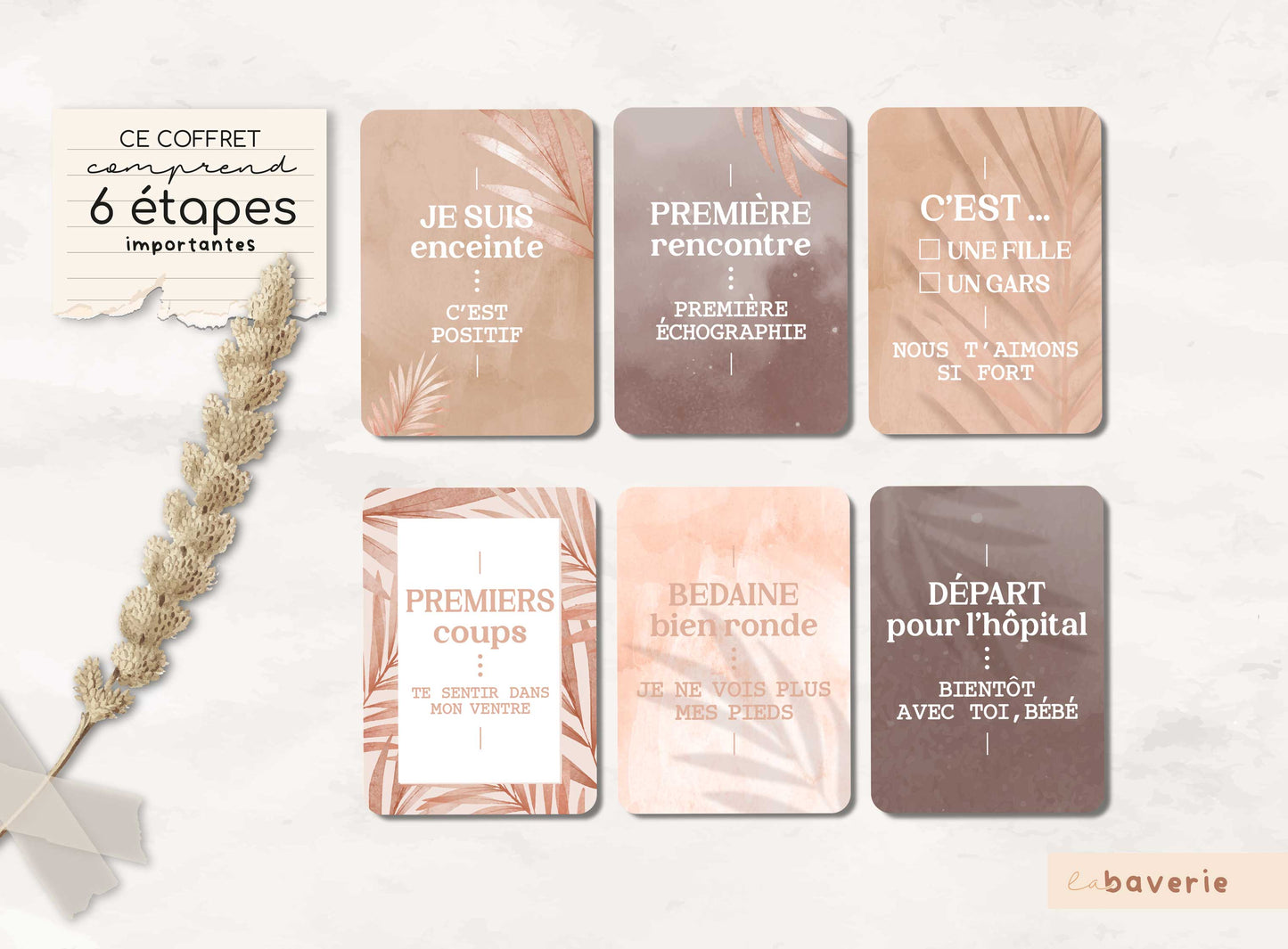 Carton de grossesse Blush