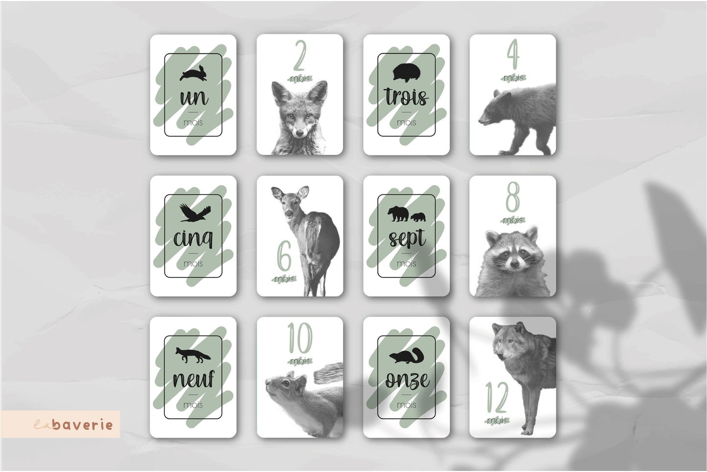 Carton de naissance Faunatique