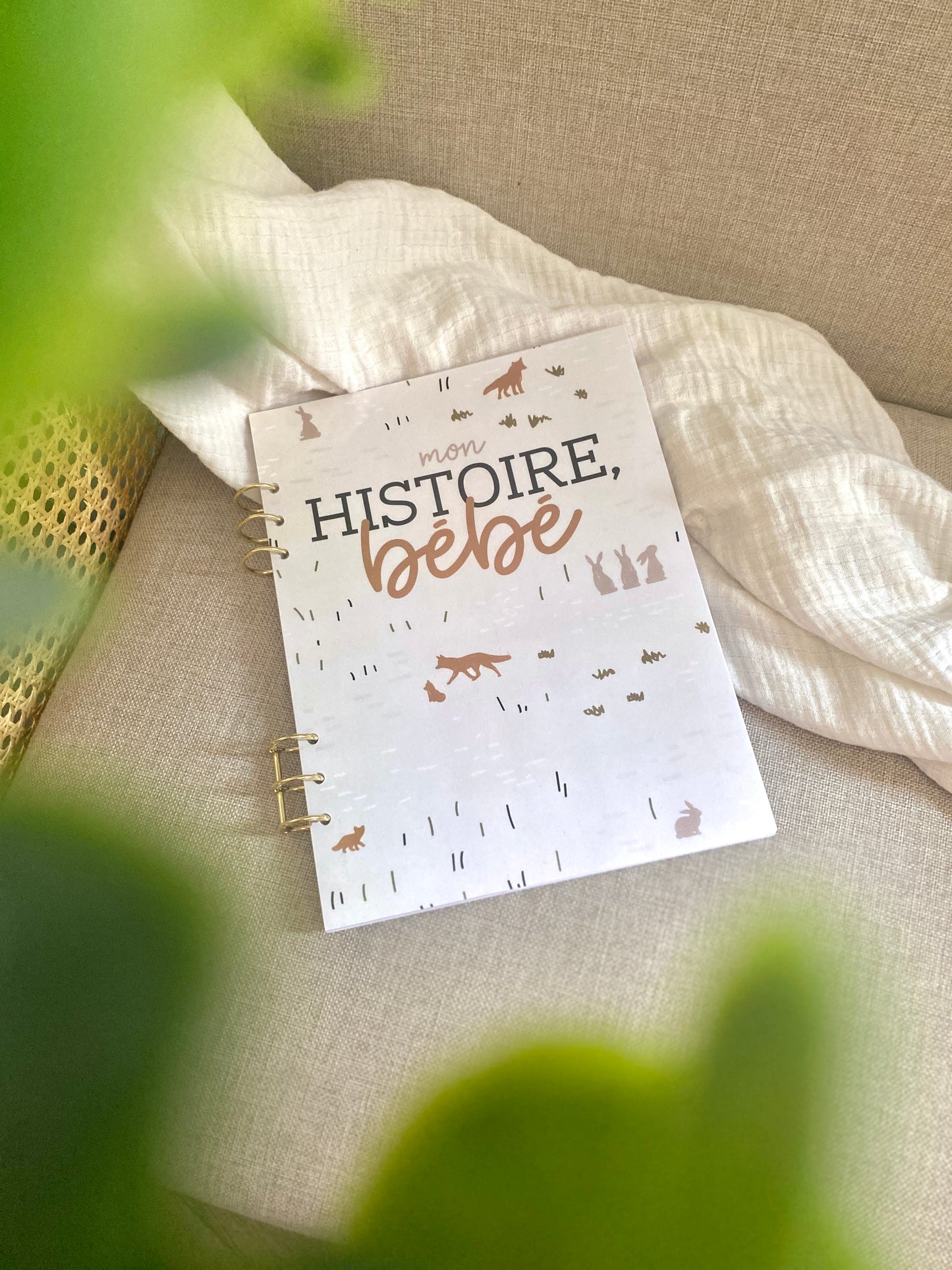 Livre de naissance à anneaux RenardLapin