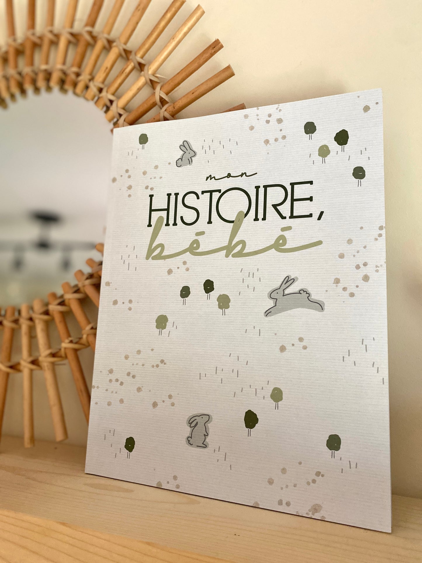 Livre de naissance Mini lapin