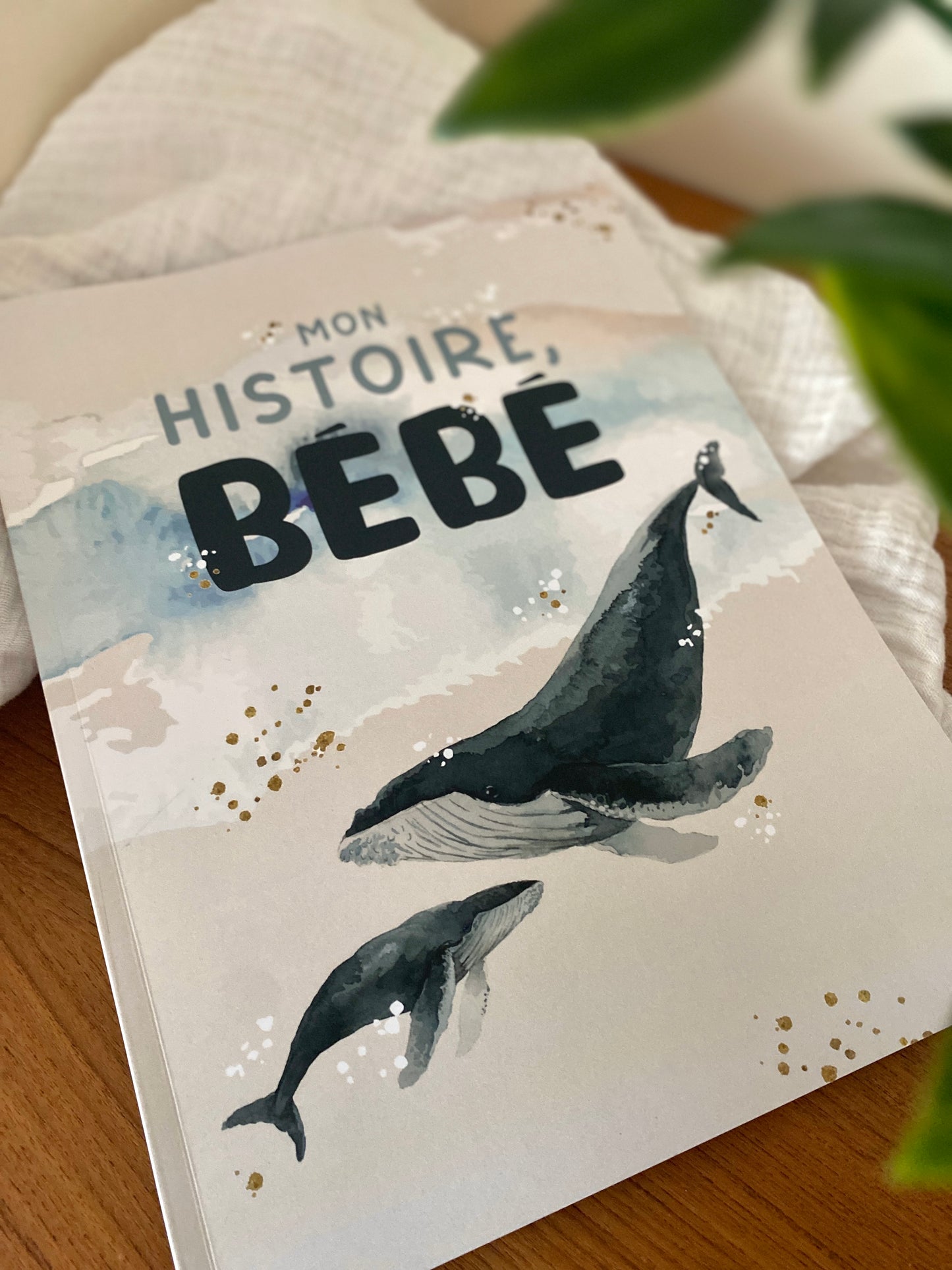 Livre de naissance Bébé baleine