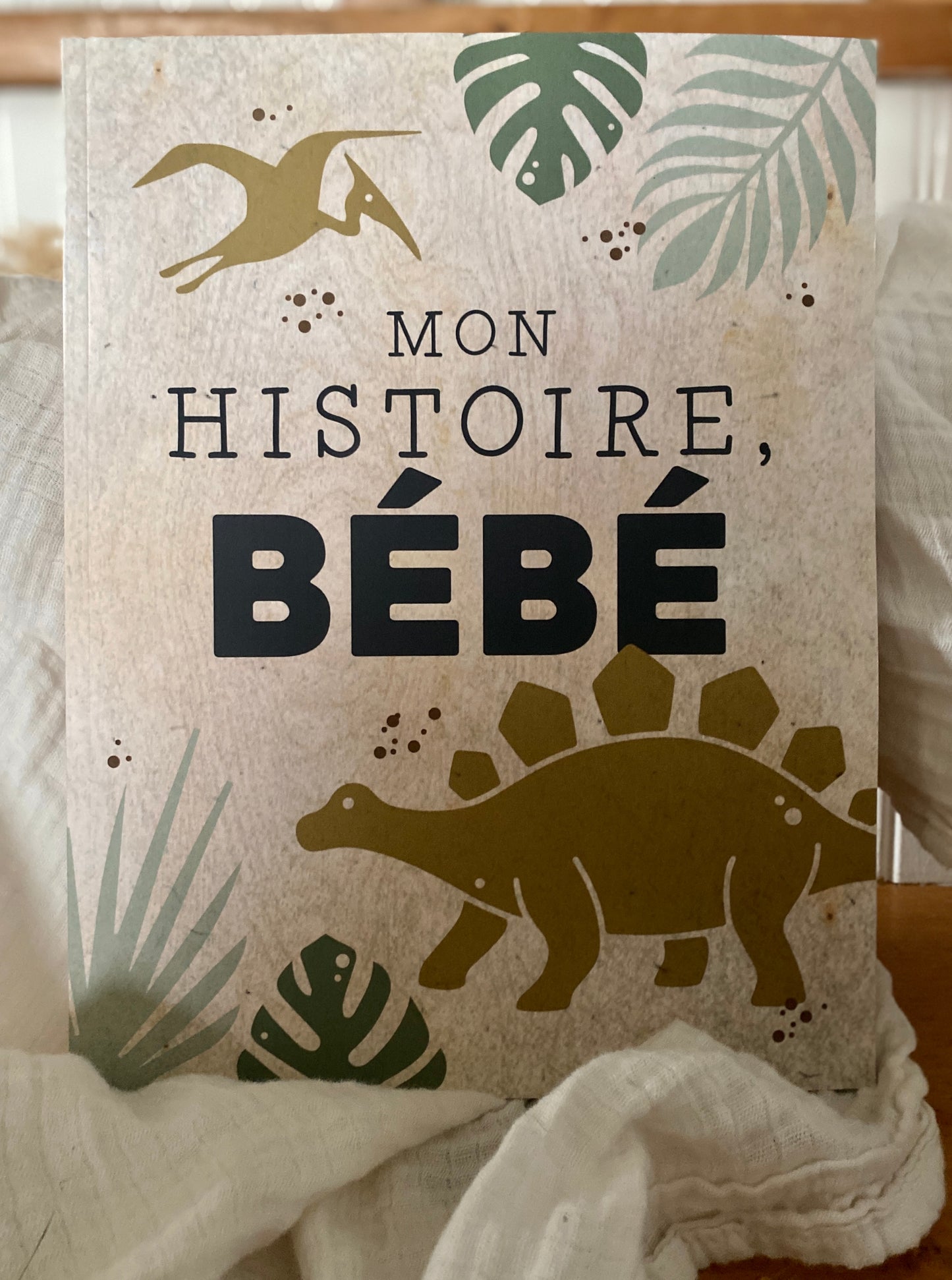 Livre de naissance Monde des dinos