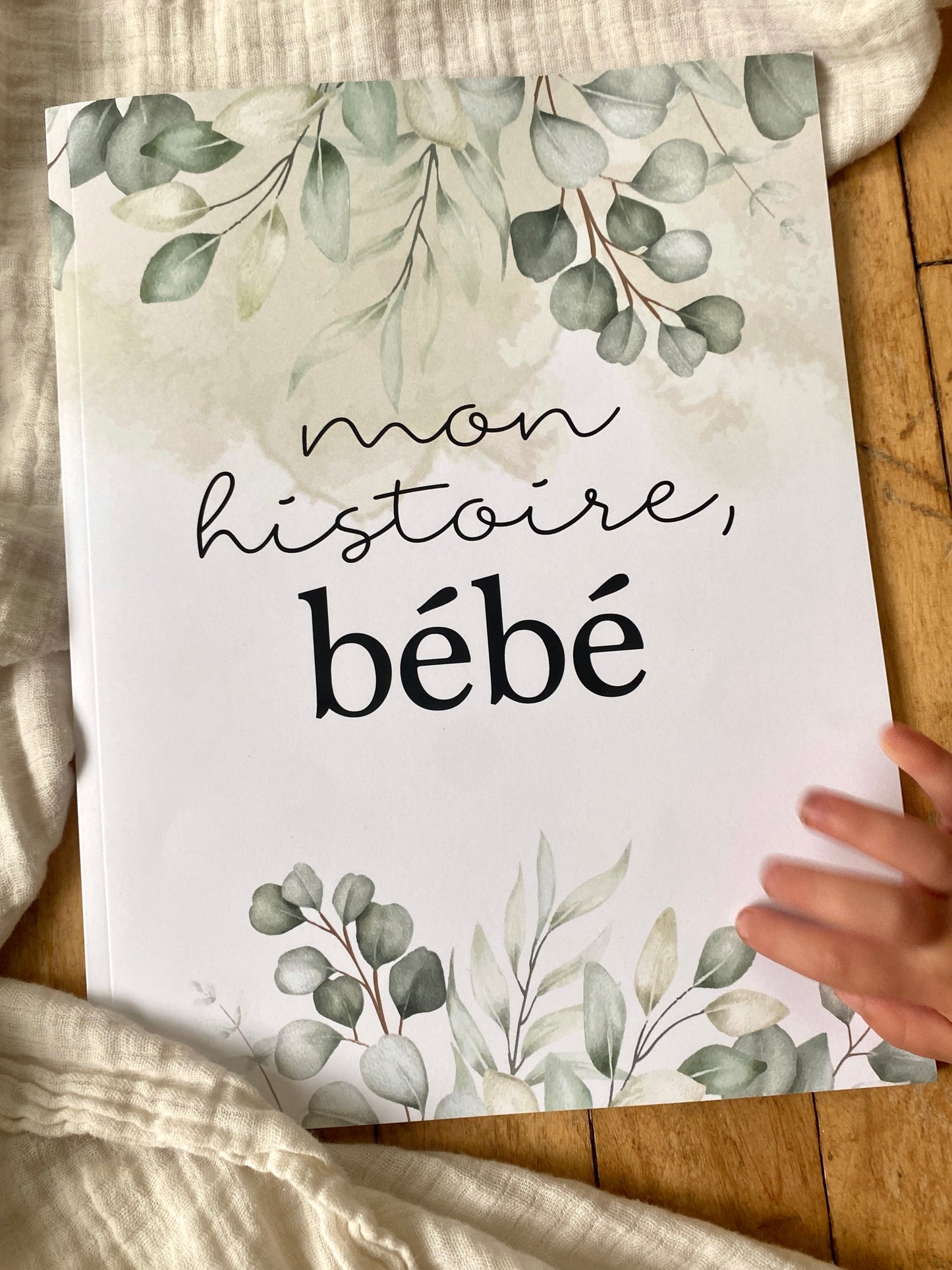 Livre de naissance Eucaly