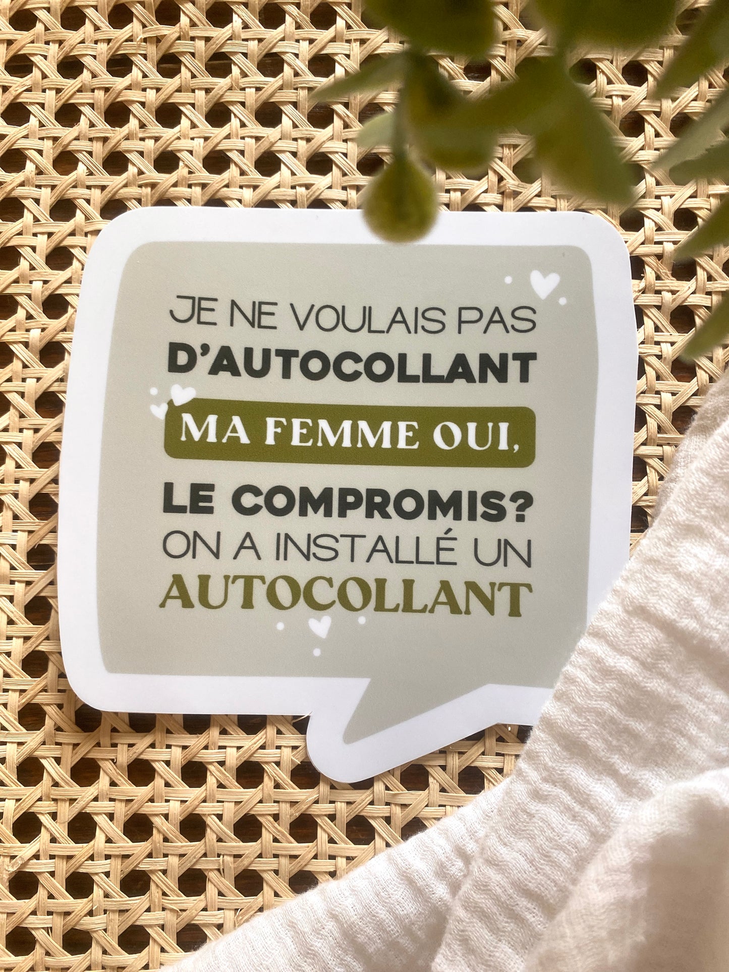 Autocollant voiture « Je ne voulais pas d'autocollant »