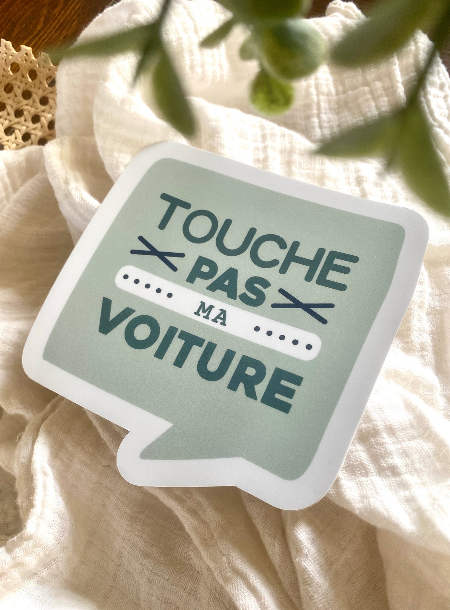 Autocollant voiture « Touche pas ma voiture »