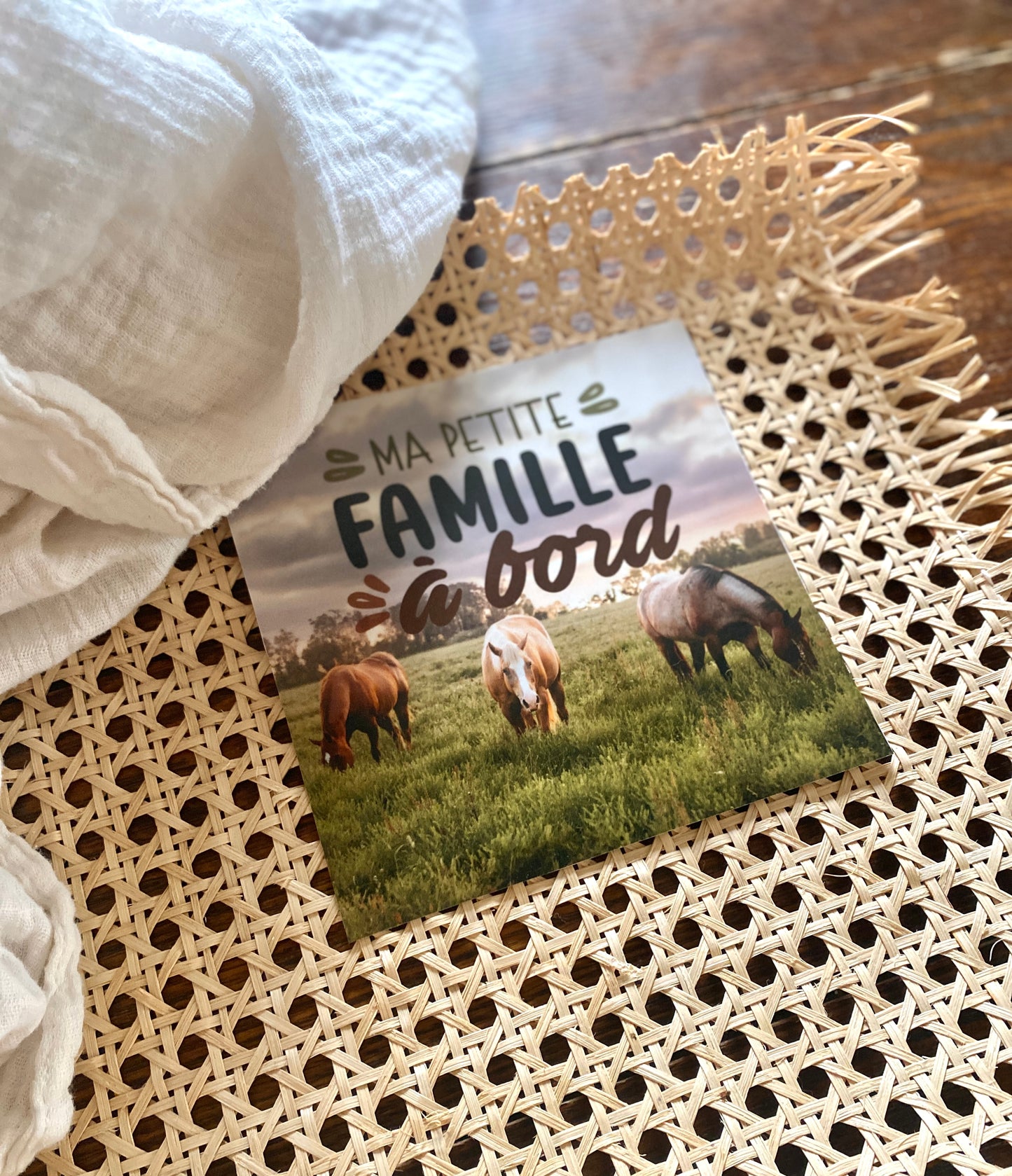 Autocollant voiture « Ma petite famille à bord »
