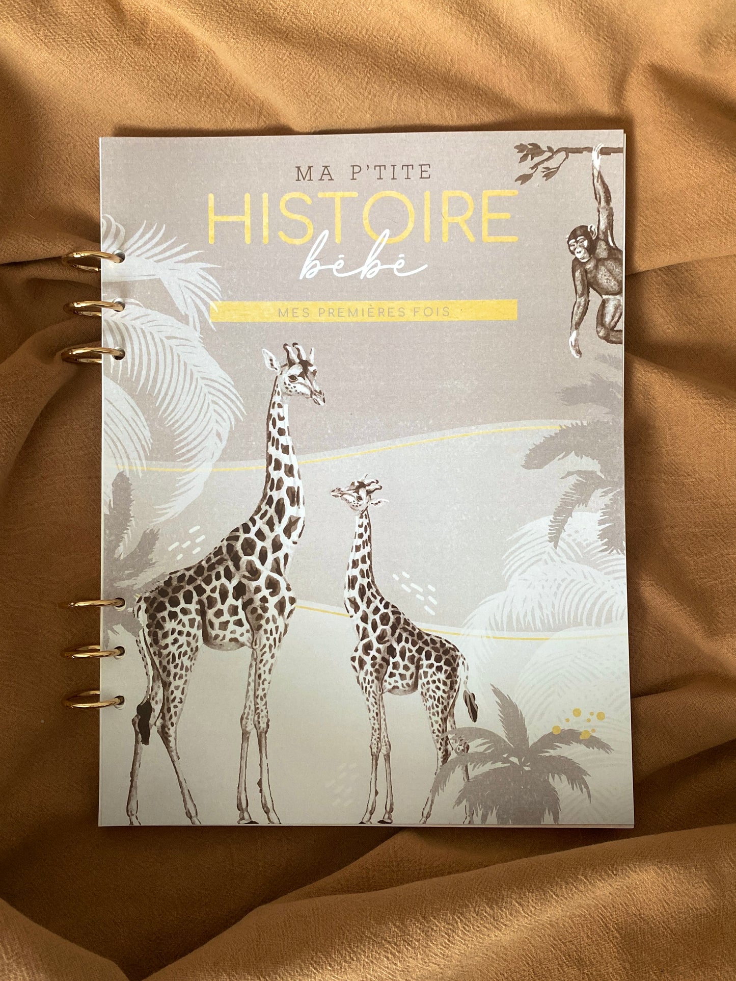 Livre de naissance