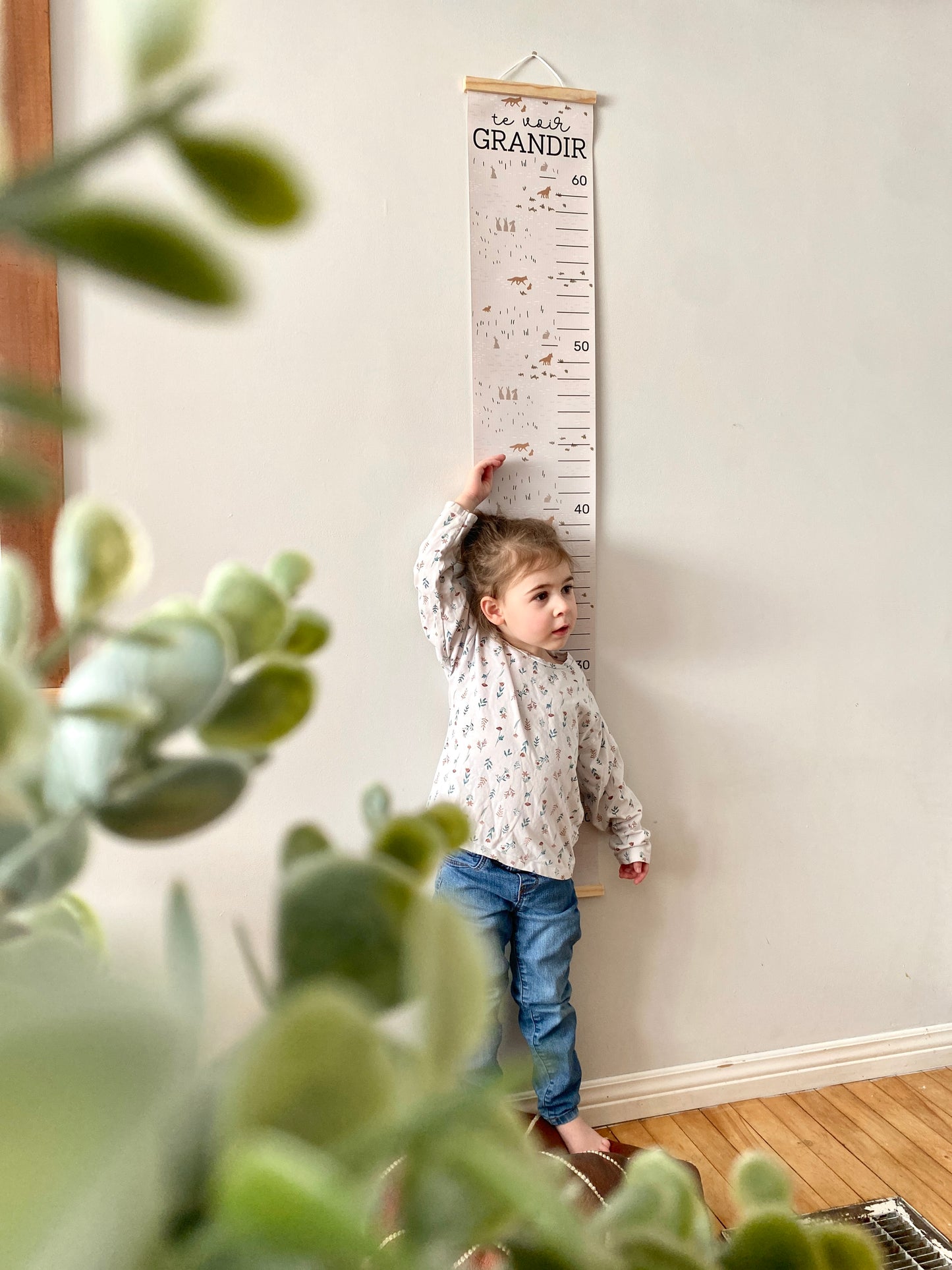 Échelle de grandeur