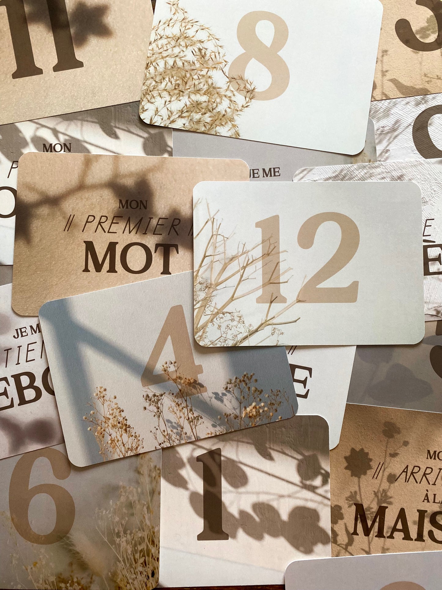 Carton de naissance Leaves
