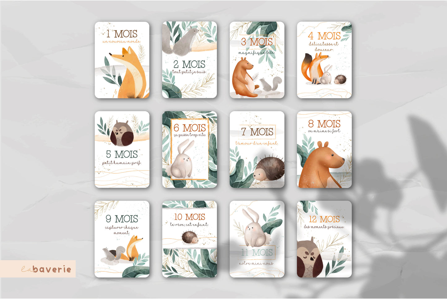 Carton de naissance Laforêt
