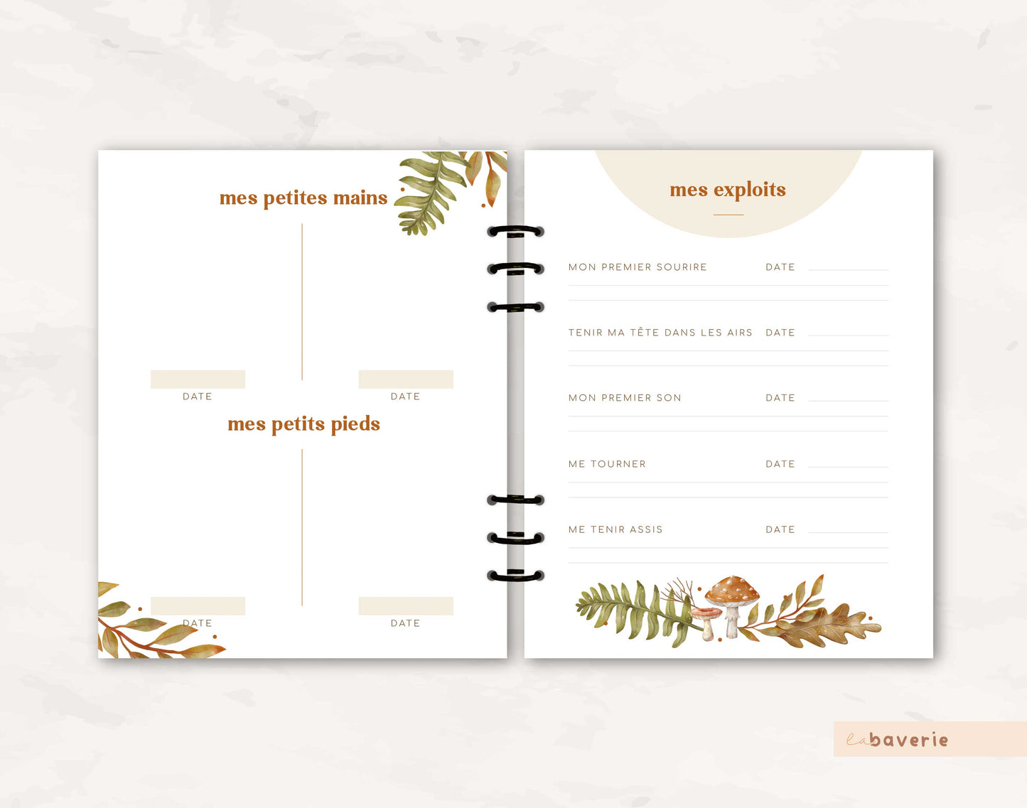 Livre de naissance à anneaux Champignons des bois