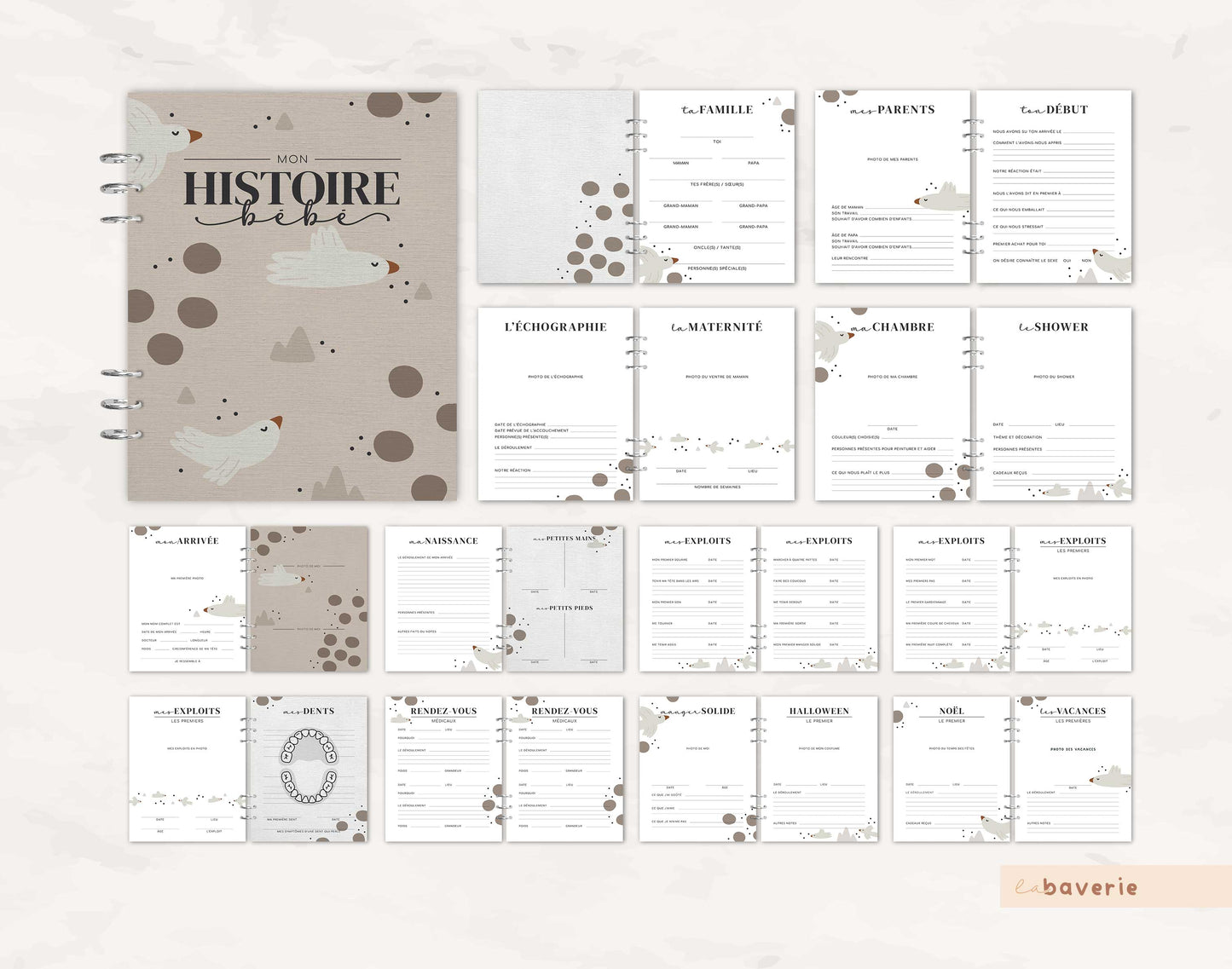 Livre de naissance à anneaux Oiseaux Libres