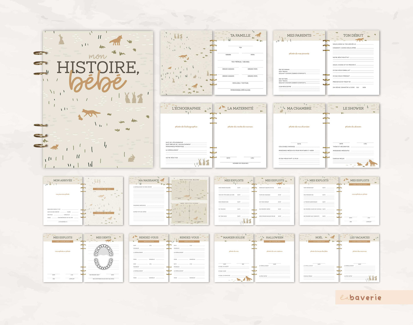 Livre de naissance à anneaux RenardLapin