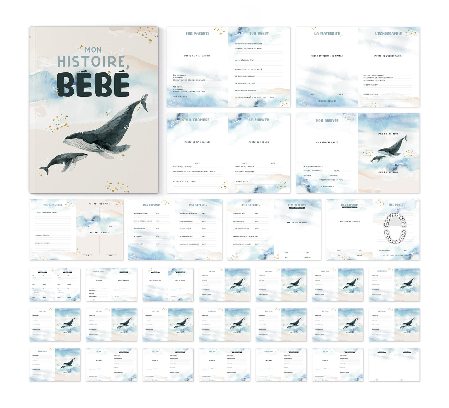 Livre de naissance Bébé baleine