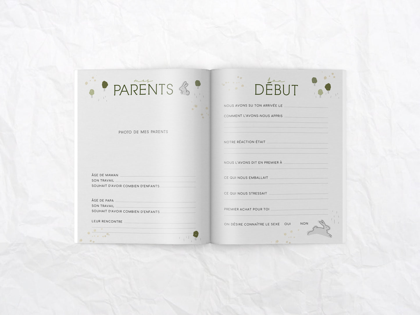 Livre de naissance Mini lapin