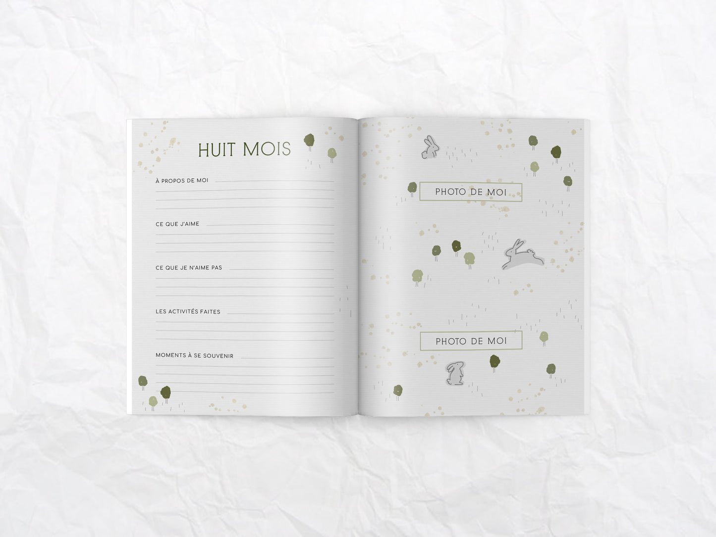 Livre de naissance Mini lapin