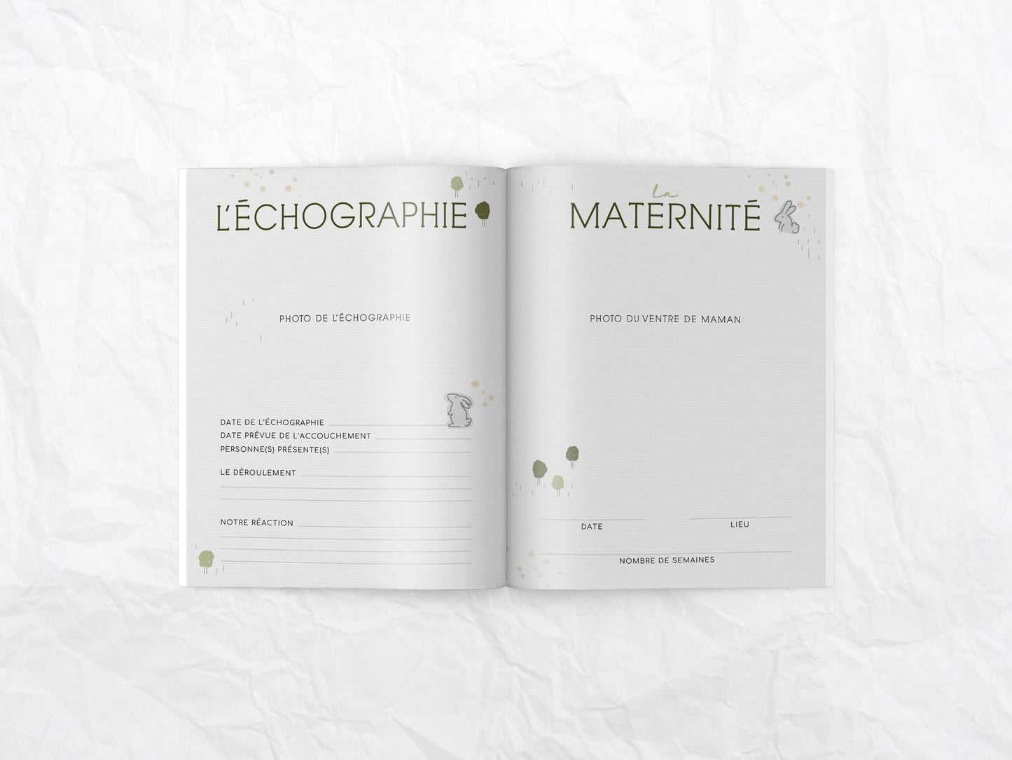 Livre de naissance Mini lapin