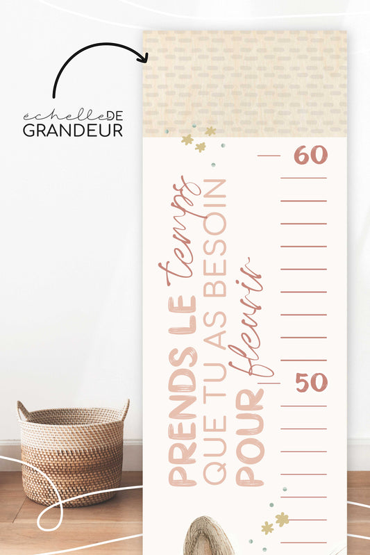 Échelle de grandeur