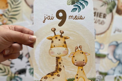 Carton de naissance MiniSafari